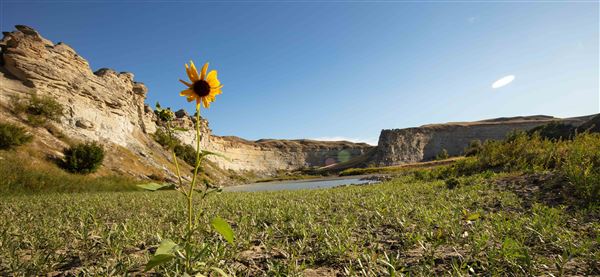 Blackfeet Indian Reservation (1/8/2026 - Credits: Jim Ward)