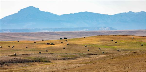 Blackfeet Indian Reservation (1/8/2026 - Credits: Jim Ward)
