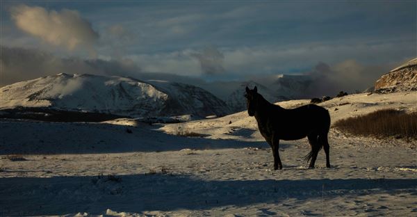 Blackfeet Indian Reservation (1/8/2026 - Credits: Jim Ward)