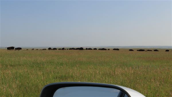 Blackfeet Indian Reservation (1/8/2026 - Credits: Jim Ward)