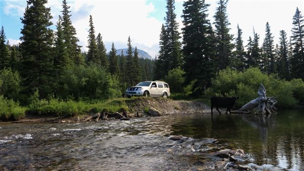 Cut Bank Creek (Confluence) (7/24/2023 - Credits: Jim Ward)