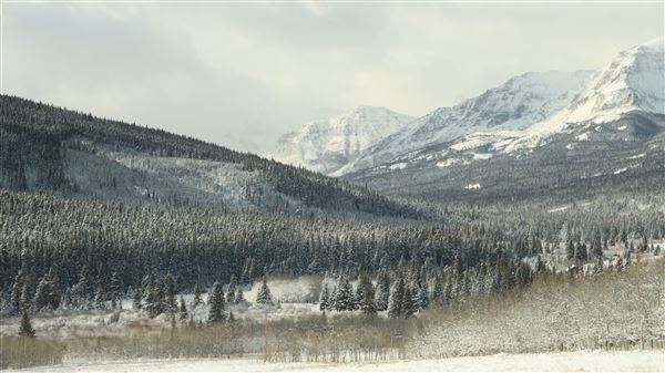 Cut Bank Creek Valley and Overlooks (11/24/2025 - Credits: Jim Ward)