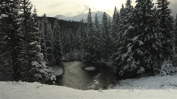 Cut Bank Creek Valley and Overlooks (11/24/2025 - Credits: Jim Ward)